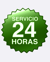 24 horas